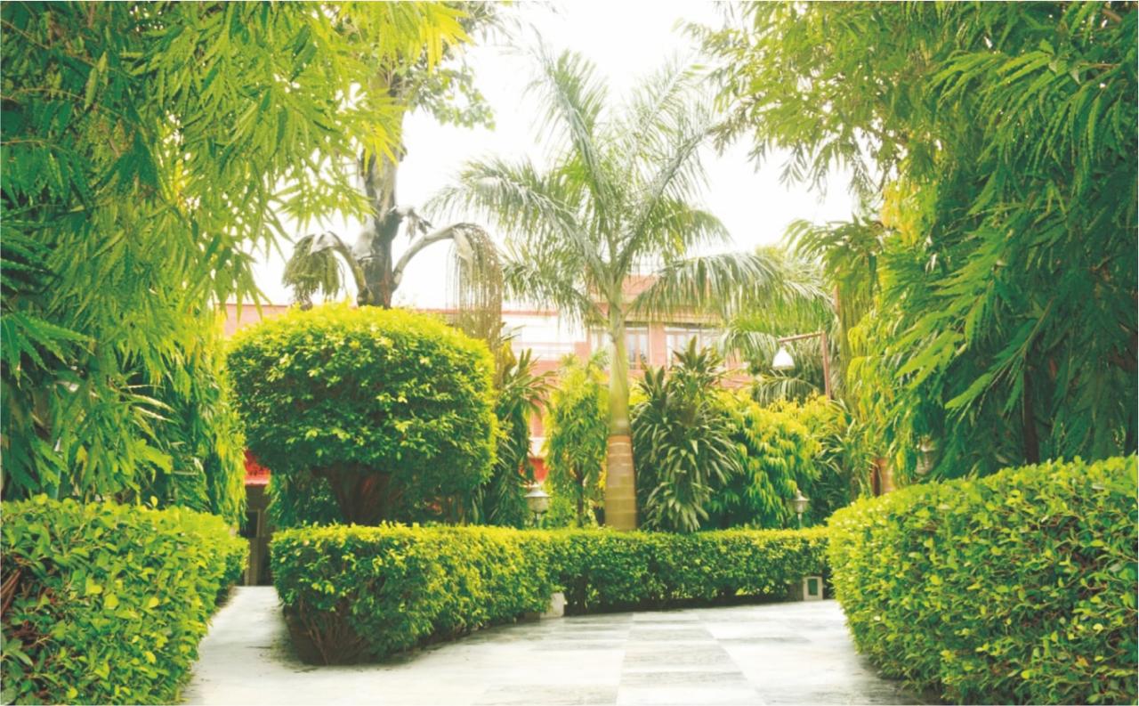 Garden of Stillness